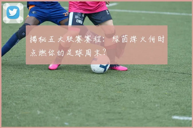 揭秘五大联赛赛程：绿茵烽火何时点燃你的足球周末？