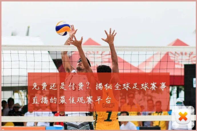 免费还是付费?揭秘全球足球赛事直播的最佳观赛平台